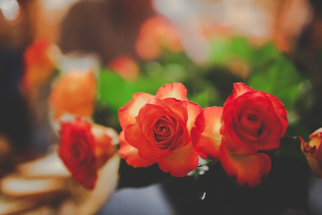 Fleuriste à Toulouse : acheter ses fleurs chez un fleuriste en ligne